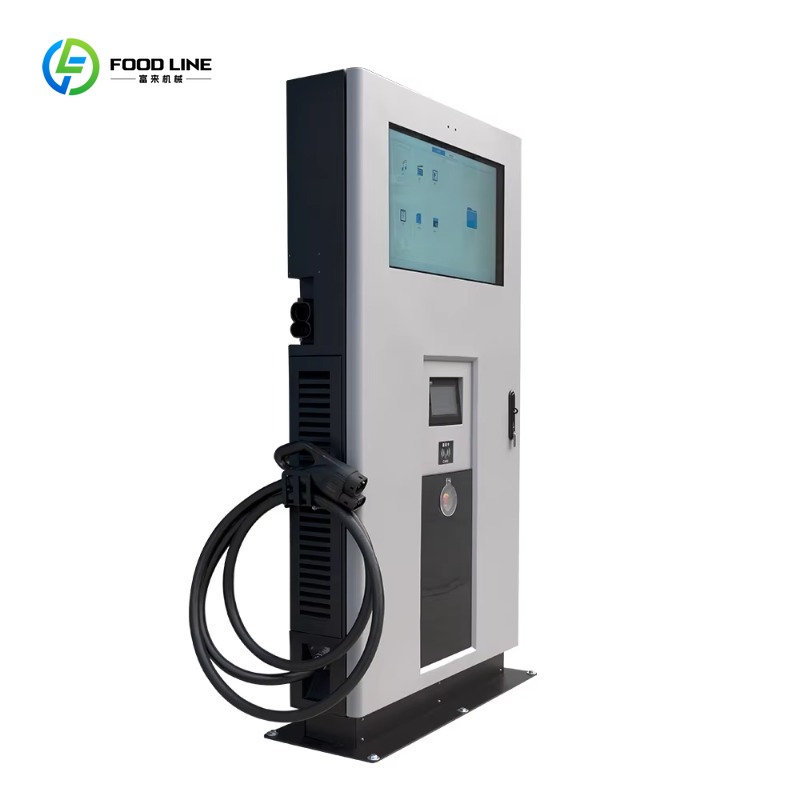 Maßgefertigte Dreiphasige 30kW – Ev Charging Pile Bewertung und Preis